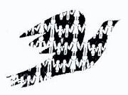 Manifiesto de la 39º Asamblea de RENACE