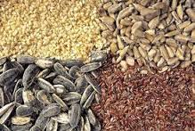 Ley de semillas: 30 vínculos entre el Gobierno y empresas agroquímicas