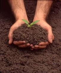 Aprobaron en Paraná ordenanza de Agroecología