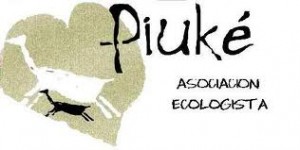 Declaracion de Piuké sobre el desalojo de lof Cushamen