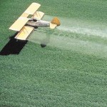 san-luis-licencia-fumigar