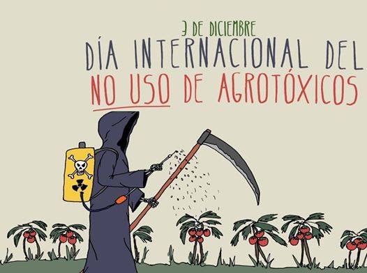 Día mundial del no uso de plaguicidas
