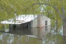 La mano humana tras el agua