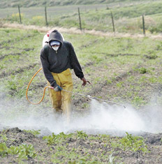 Insistiendo en ocultar el modelo tóxico