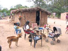 Una reparación que es despojo