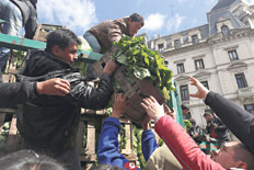 Un modelo que no es verdurita