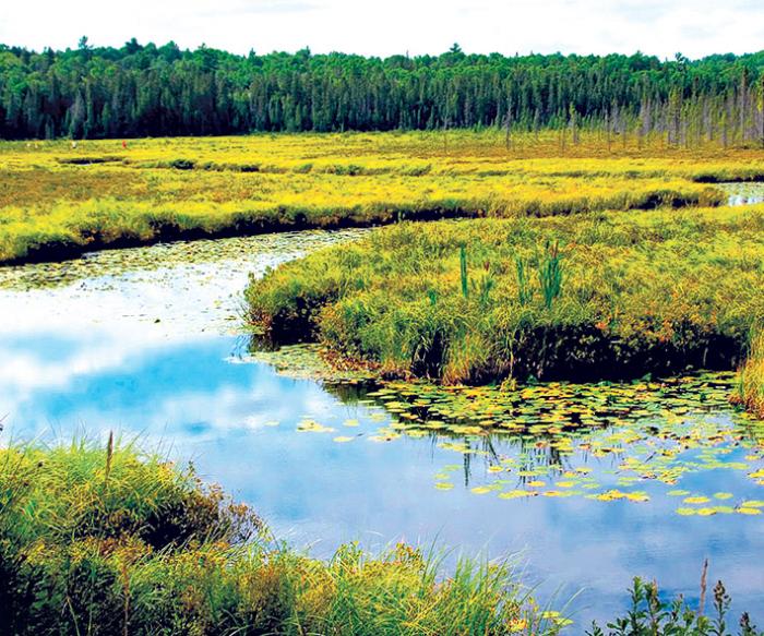 Vuelta al primer casillero