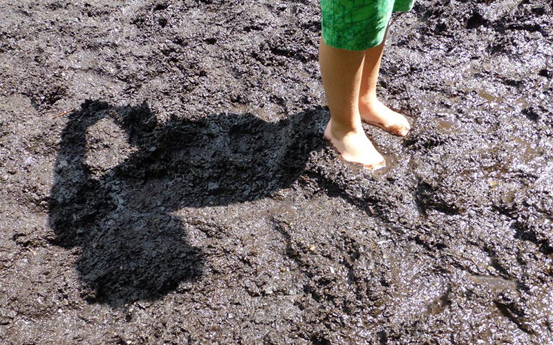 Crimen sin culpables