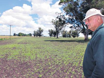 Un modelo sin agrotóxicos