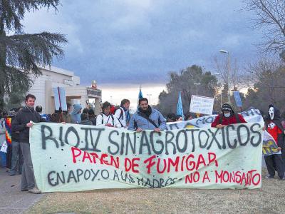 El impacto de los agrotóxicos