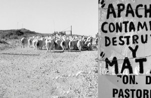 Qué hay detrás de la campaña antimapuche: extractivismo, medios y un genocidio que no termina