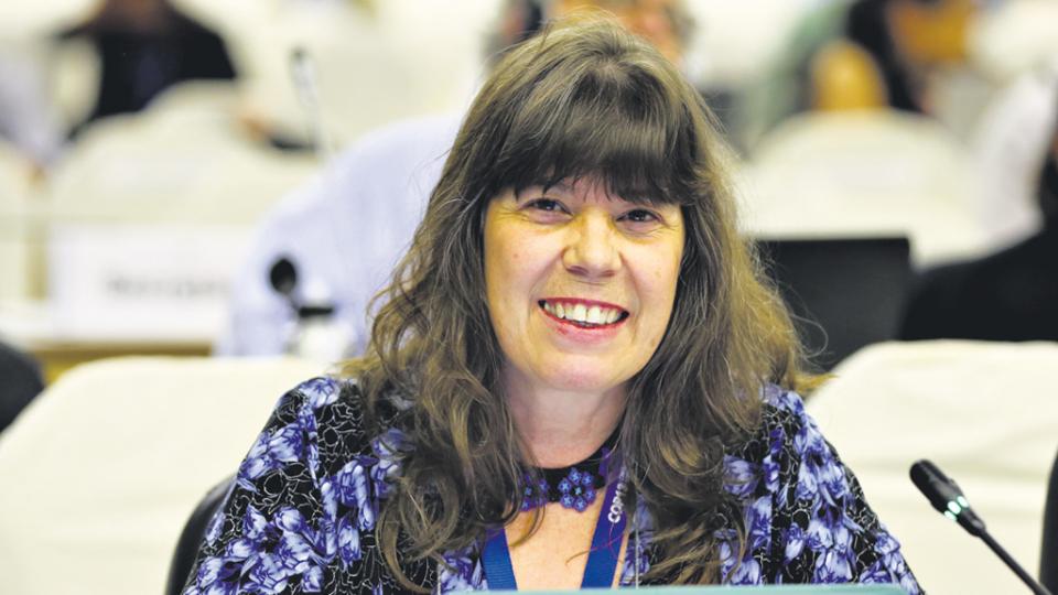 Una reforma agraria al revés