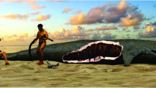 Presentación sobre los avances en el trabajo de investigación realizado tras el hallazgo de una ballena fósil en la desembocadura del arroyo Las Hermanas