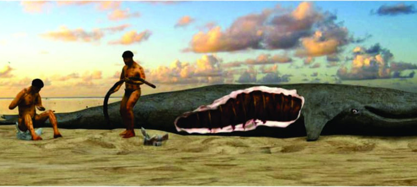 Presentación sobre los avances en el trabajo de investigación realizado tras el hallazgo de una ballena fósil en la desembocadura del arroyo Las Hermanas