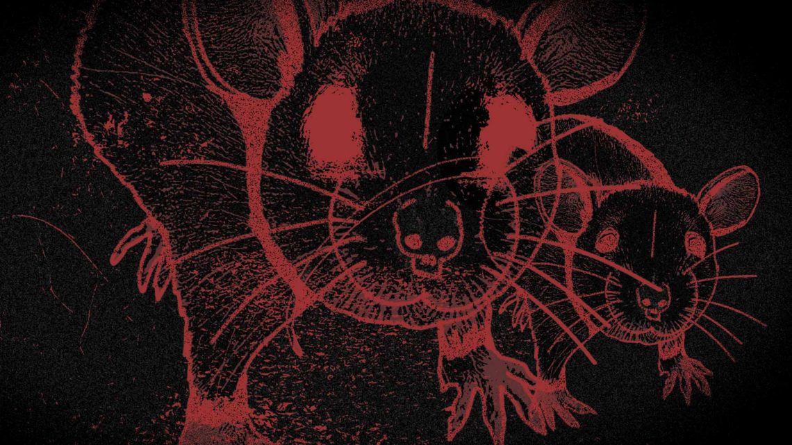 Es fácil culpar al ratón