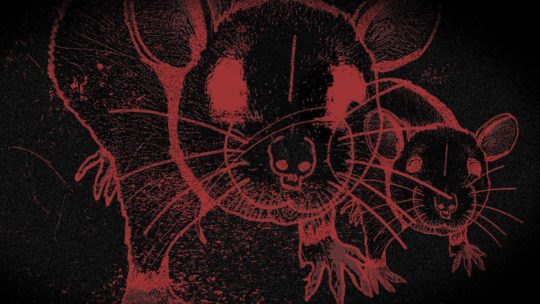 Es fácil culpar al ratón