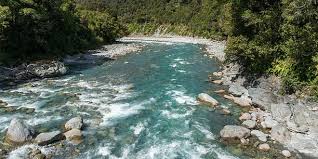 Día Internacional de la lucha por los ríos