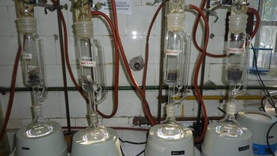 Clorpirifos: nuevo límite sugerido en aguas superficiales para la protección de la Biota Acuática de la Provincia de Buenos Aires