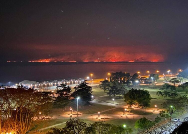 Islas del Delta. La necesaria y urgente Ley de Humedales