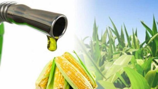 No a la prórroga ni a una nueva la Ley de promoción de “biocombustibles”